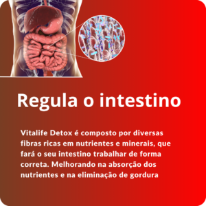 Vitalife Detox - emagrecer - Lift Detox - Ozenvitta -Inibe One