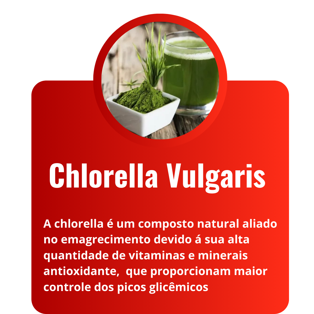 Vitalife Detox - emagrecer - Lift Detox - Ozenvitta -Inibe One